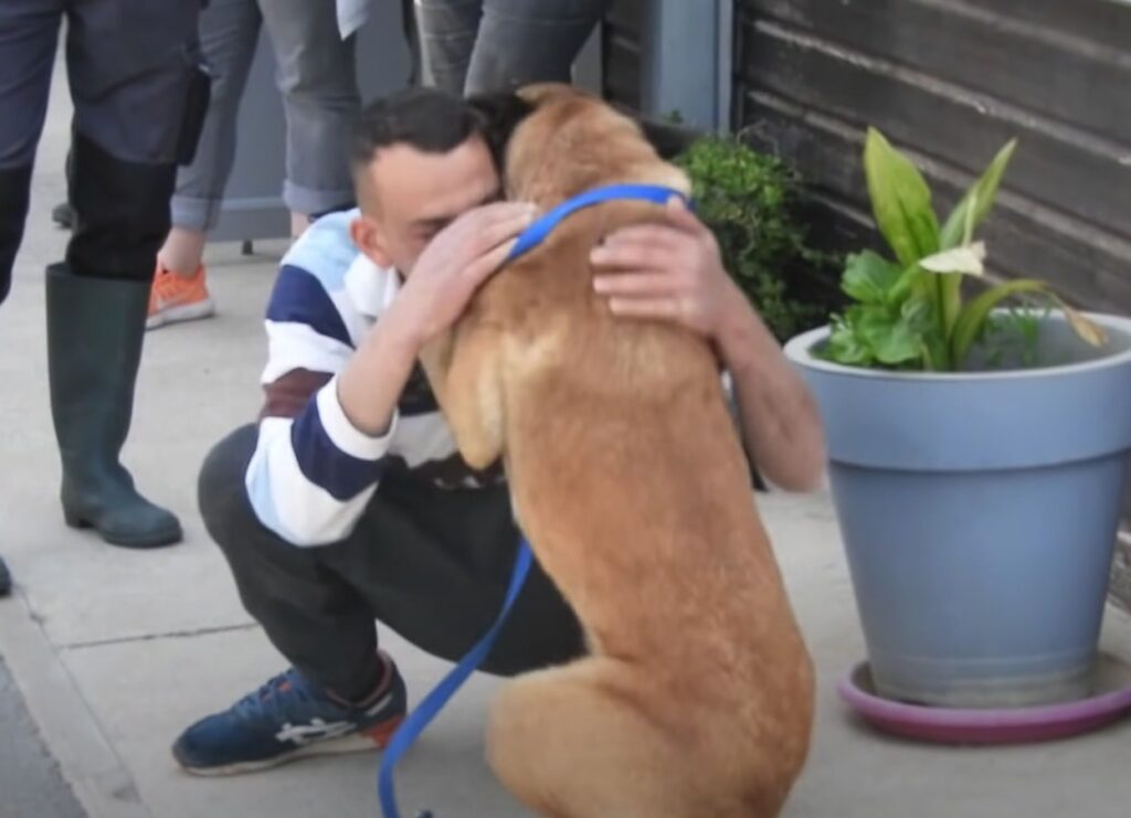 Overcoming more than 200 kilometers to find his beloved dog and the unexpected ending