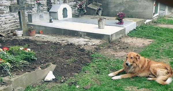 The dog firmly stayed by his owner’s side when he died