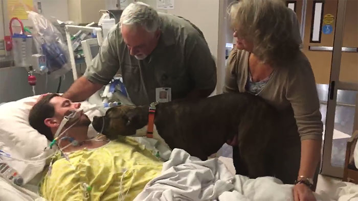 The separation of the dog and owner, never to be reunited, is heartbreaking to watch