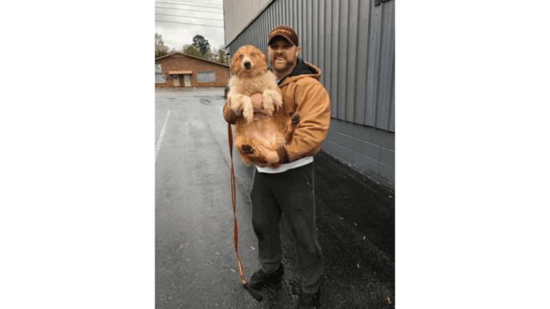 After many months missing, the dog was lucky to meet his owner again