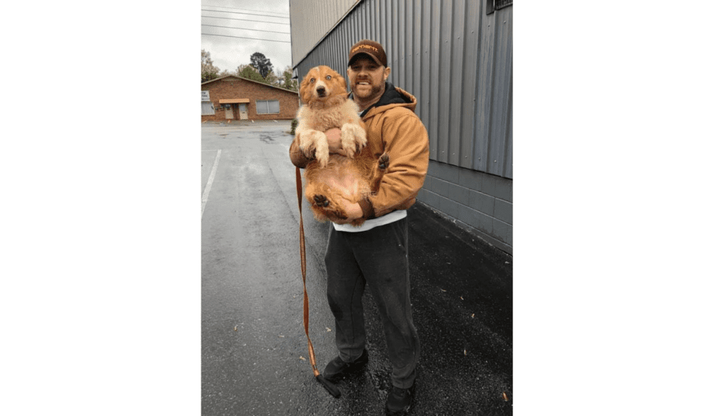 After many months missing, the dog was lucky to meet his owner again