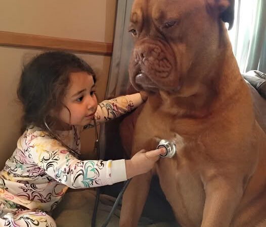 Young Girl’s Thoughtful Gestures Bring Joy to Ailing Dog Lucky, Inspiring Onlookers with Her Compassion and Creativity ‎