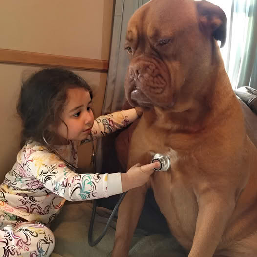 Young Girl’s Thoughtful Gestures Bring Joy to Ailing Dog Lucky, Inspiring Onlookers with Her Compassion and Creativity ‎