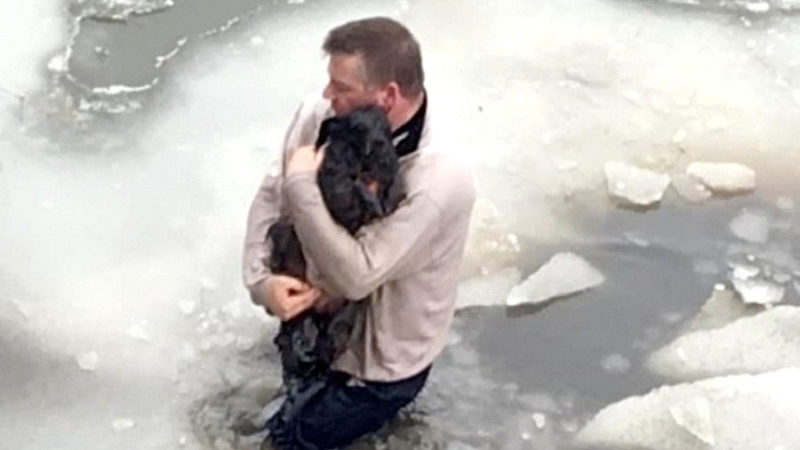 Man Jumps Into Cold Water, Cuts His Skin To Save Panicked Dog