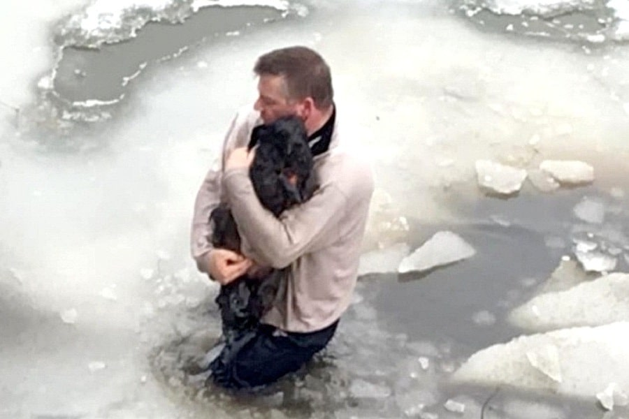 Man Jumps Into Cold Water, Cuts His Skin To Save Panicked Dog