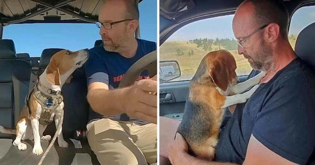 Beagle Lab Joyfully Hugs Man Tightly, Expresses Gratitude for Being Reincarnated