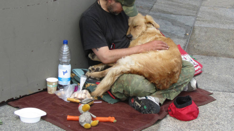 Millions touched by story of dog and homeless owner