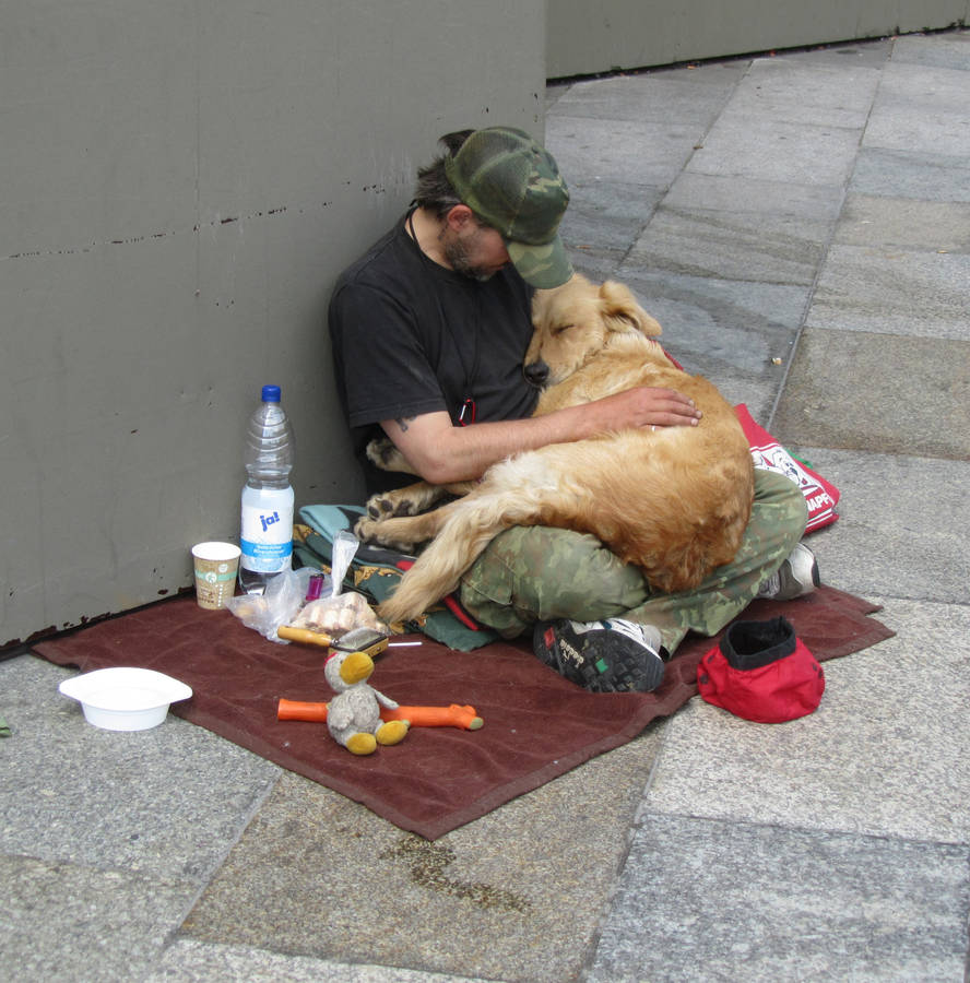 Millions touched by story of dog and homeless owner