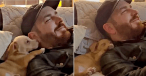 The little dog thanked his father before quietly falling asleep.