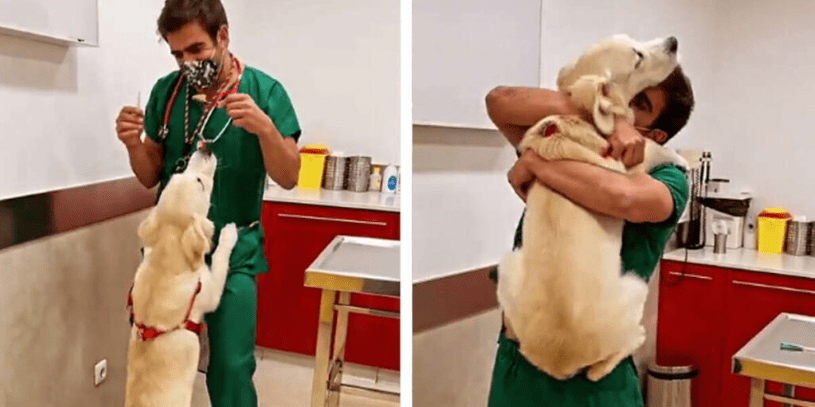 The vet uses a clever and charming method to vaccinate dogs without them even noticing ‎