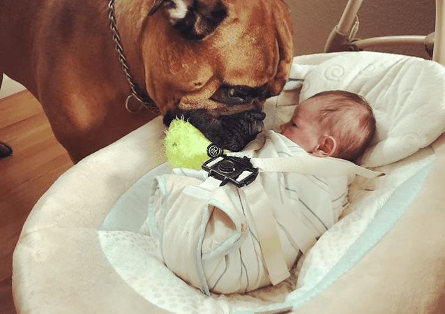 Fluffy puppy brings warm comfort to baby with favorite toy