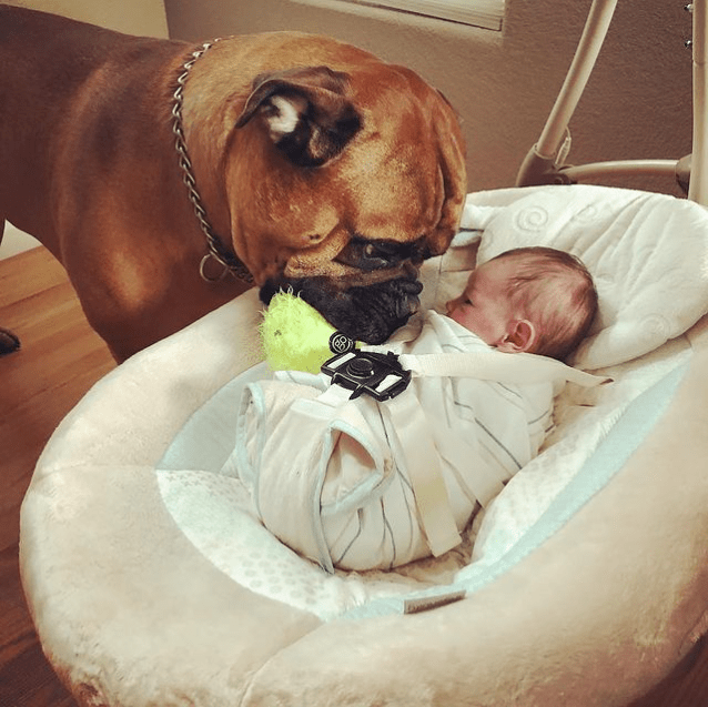 Fluffy puppy brings warm comfort to baby with favorite toy