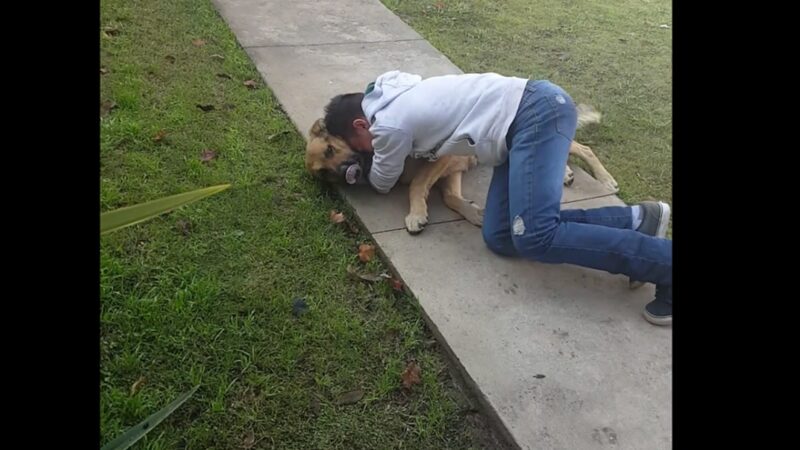 After Nearly a Decade, Boy Embraces Beloved Dog Rediscovered