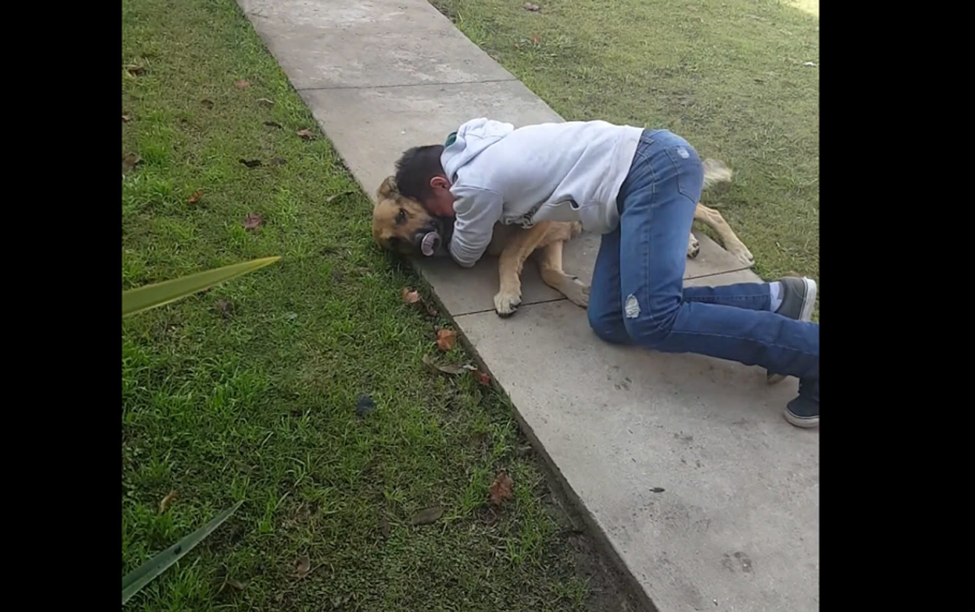 After Nearly a Decade, Boy Embraces Beloved Dog Rediscovered