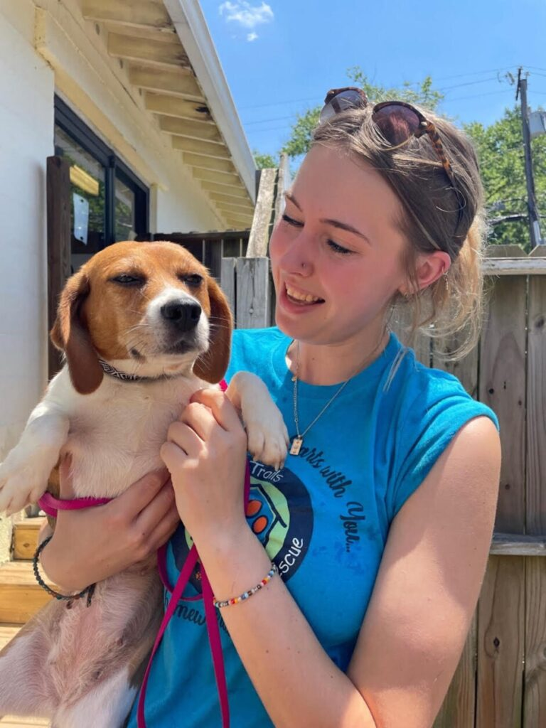 Heartwarming Haven: A Peaceful Retreat for Beagles Rescued from Envigo in Arlington