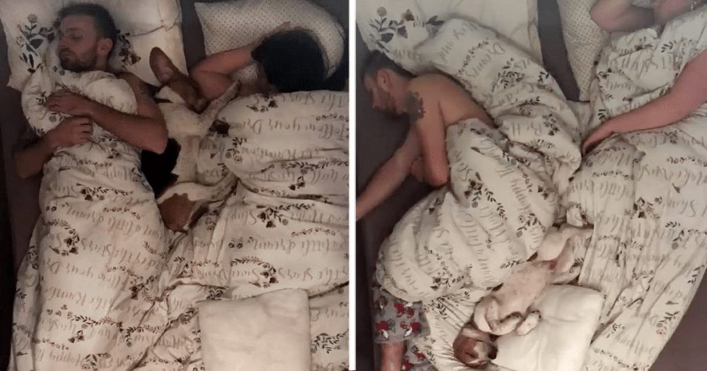 Hilarious Time Lapse Video Shows Dog’s Antics When Sleeping with Family ‎