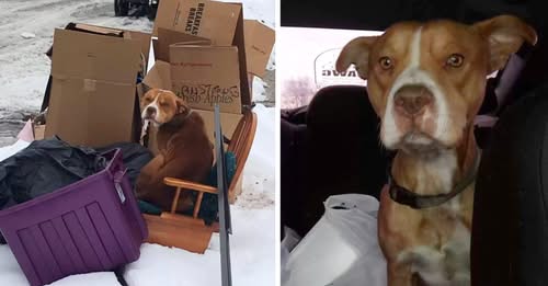 His family left him abandoned in a pile of garbage and he waited tirelessly for them to return