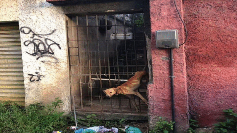 Left Hanging by a Chain for Over a Month, Matthews’ Rescue Is a Story of Survival and New Beginnings
