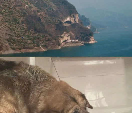 IT’S SO SIMILAR THAT IT’S IMPOSSIBLE