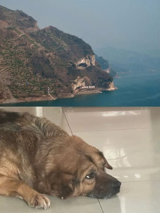 IT’S SO SIMILAR THAT IT’S IMPOSSIBLE