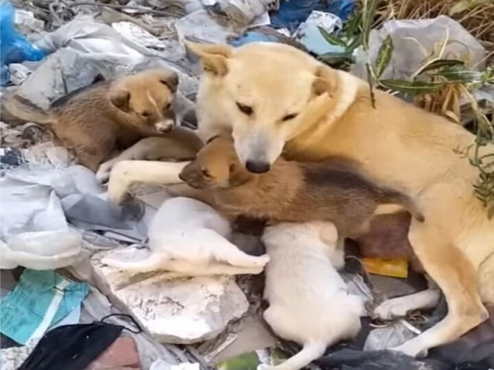 Their Eyes Say It All – Stories That Will Stay with You Forever