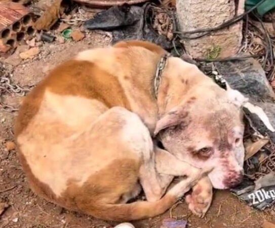 Their Eyes Say It All – Stories That Will Stay with You Forever