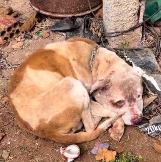 Their Eyes Say It All – Stories That Will Stay with You Forever