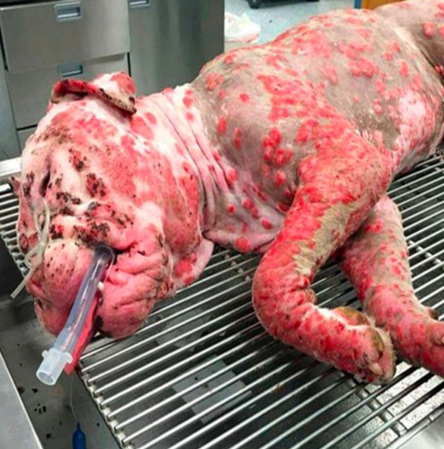 These Innocent Faces Carry Stories Too Painful to Ignore
