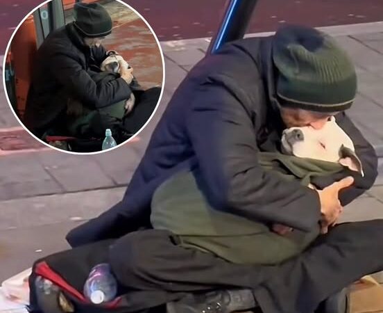 The Homeless Man Who Rocks His Dog to Sleep Every Night: A Story of Unconditional Love