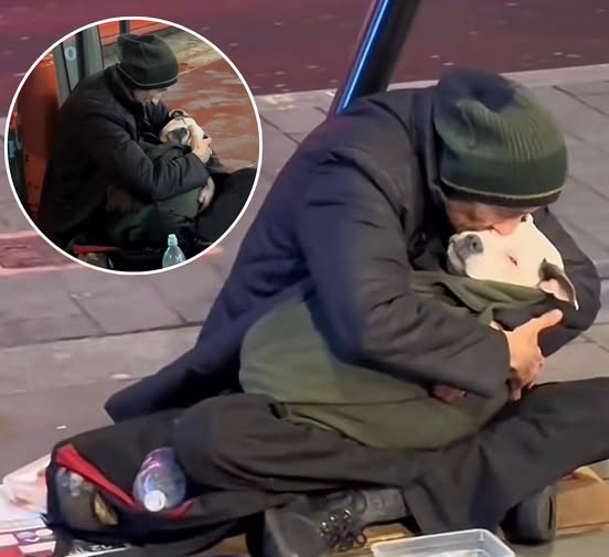 The Homeless Man Who Rocks His Dog to Sleep Every Night: A Story of Unconditional Love
