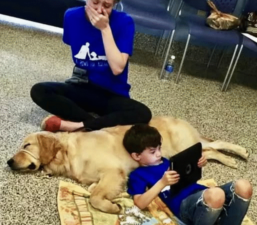 The Healing Bond: How a Service Dog Changed a Boy’s World
