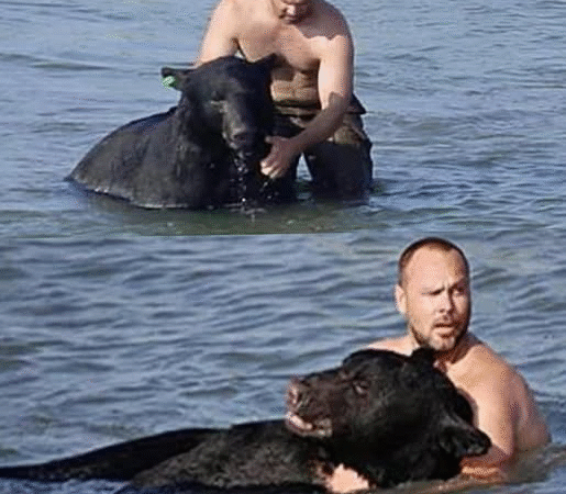 The Man Who Swam With a Bear: A Story of Courage, Compassion, and the Wild