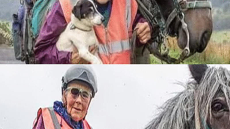 Riding Through Life: The Unstoppable Journey of Jane Dotchin