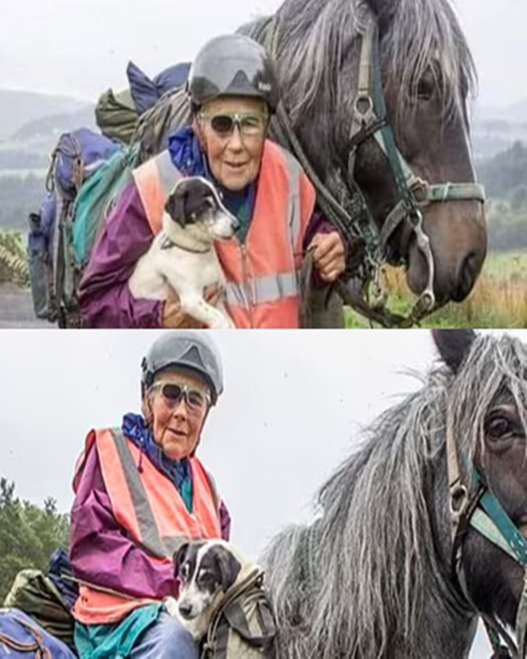 Riding Through Life: The Unstoppable Journey of Jane Dotchin