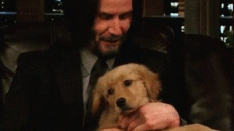 Keanu Reeves: A Life Defined by Quiet Compassion