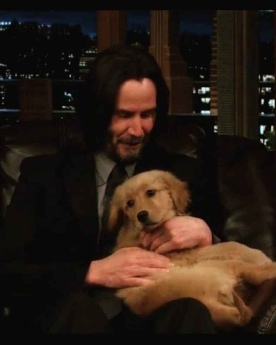 Keanu Reeves: A Life Defined by Quiet Compassion