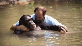 The Man Who Risked It All to Save a Drowning Chimpanzee