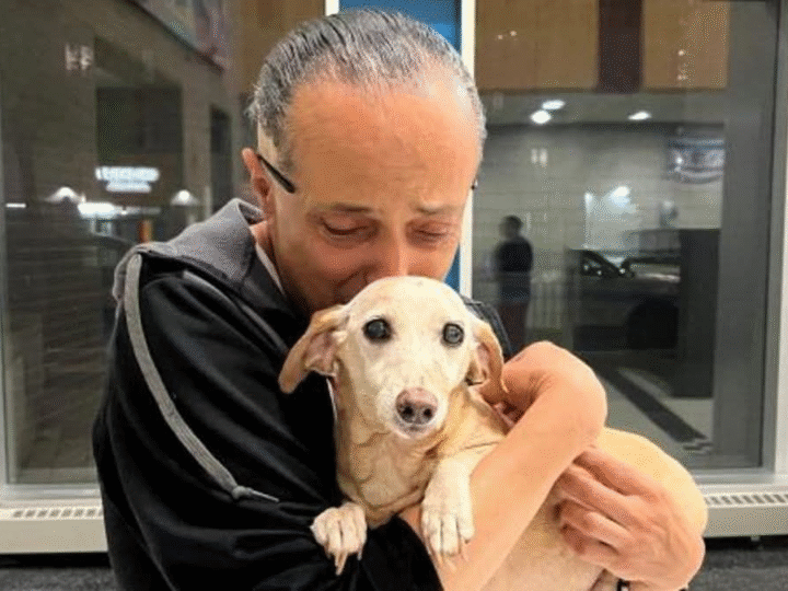 The Emotional Reunion of Angel and Bam Bam: A Story of Hope, Loss, and Unbreakable Bonds