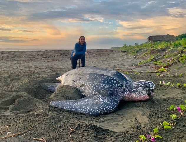 The Last Push: A Leatherback’s Fight for Life…d