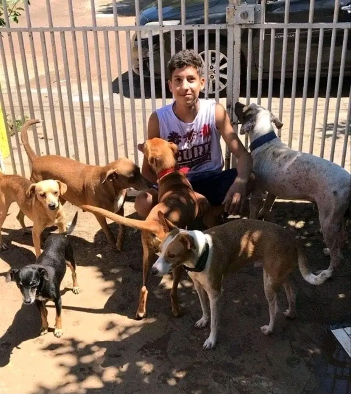 17 Years Old, 20 Miles a Day, and Hundreds of Lives Saved…f