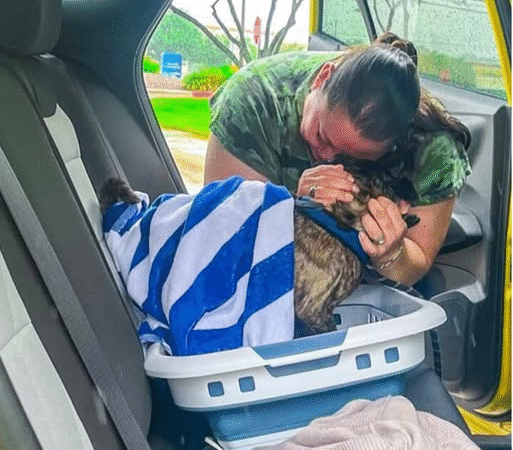 Dog Lost During Hurricane HarveyReunited with Family After 8 Yearsand 300 Miles Apart…j