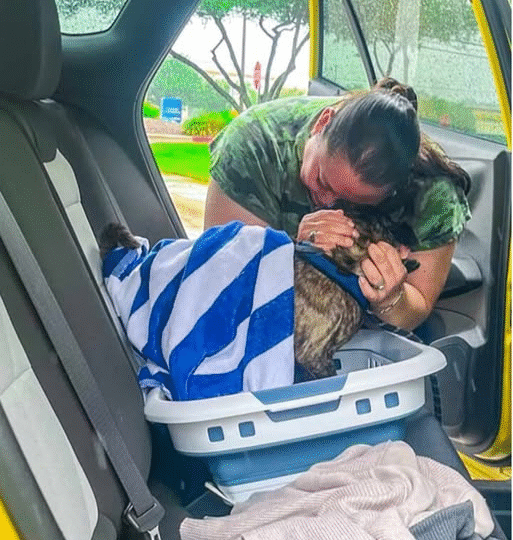 Dog Lost During Hurricane HarveyReunited with Family After 8 Yearsand 300 Miles Apart…j