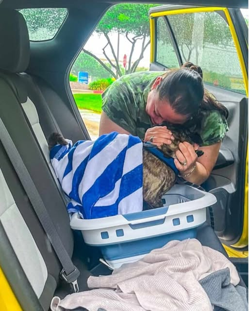 Dog Lost During Hurricane HarveyReunited with Family After 8 Yearsand 300 Miles Apart…j