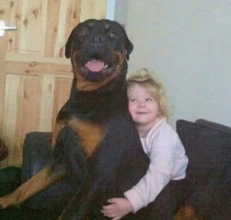 Little Girl Sends Letter to HeavenAfter Losing Her Dog — And Gets aHeartwarming Reply…a