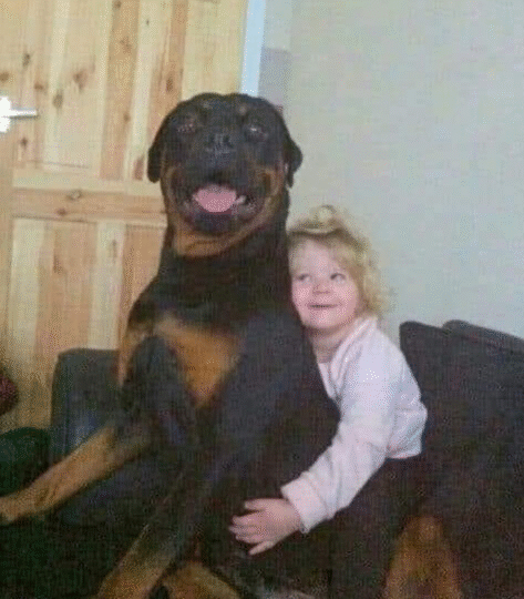 Little Girl Sends Letter to HeavenAfter Losing Her Dog — And Gets aHeartwarming Reply…a