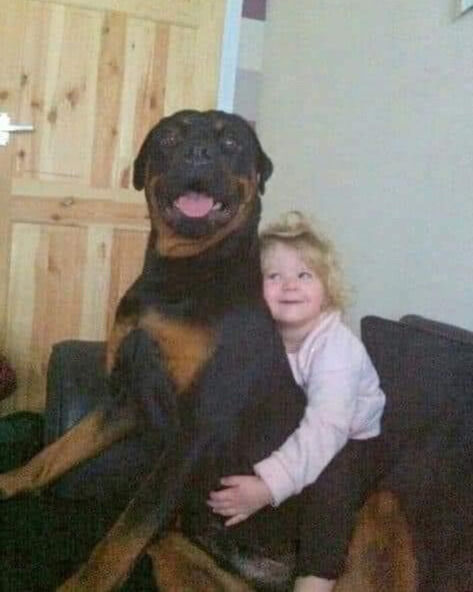 Little Girl Sends Letter to HeavenAfter Losing Her Dog — And Gets aHeartwarming Reply…a