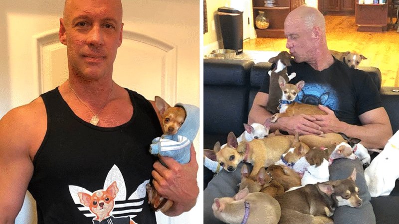From Skeptic to Savior: Man Rescuedby Chihuahua Devotes Life to SavingSmall Dogs..g