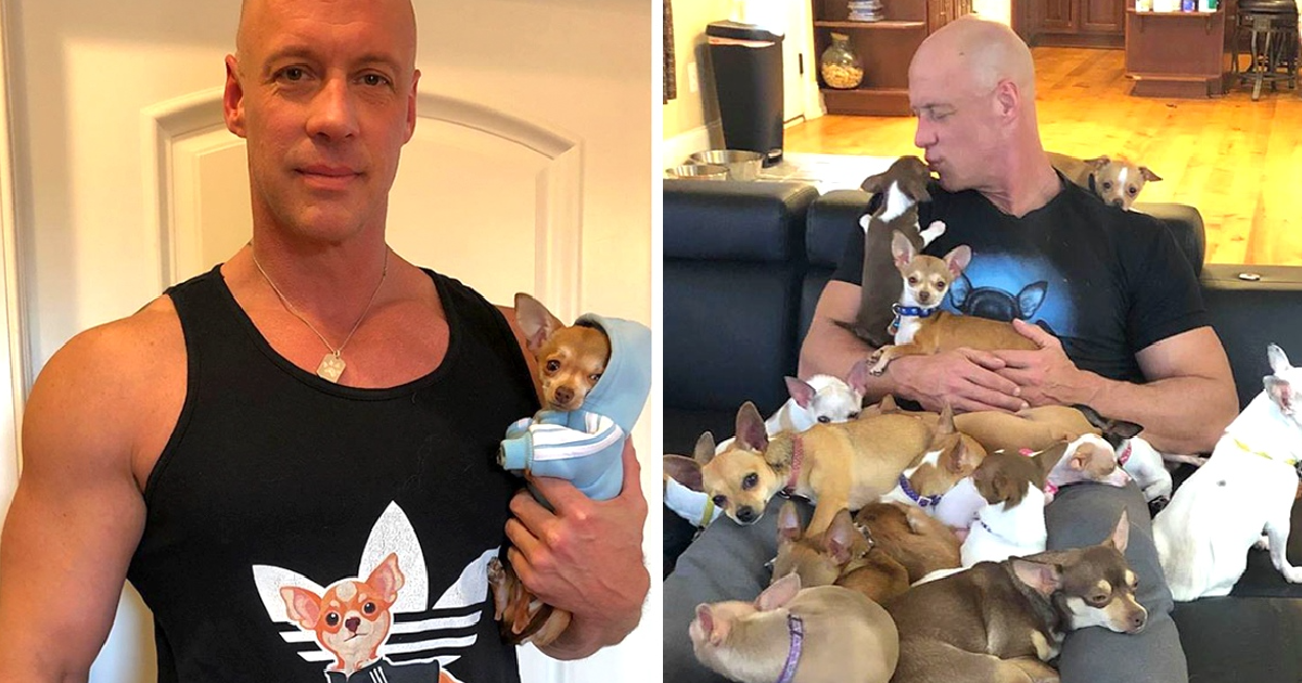 From Skeptic to Savior: Man Rescuedby Chihuahua Devotes Life to SavingSmall Dogs..g